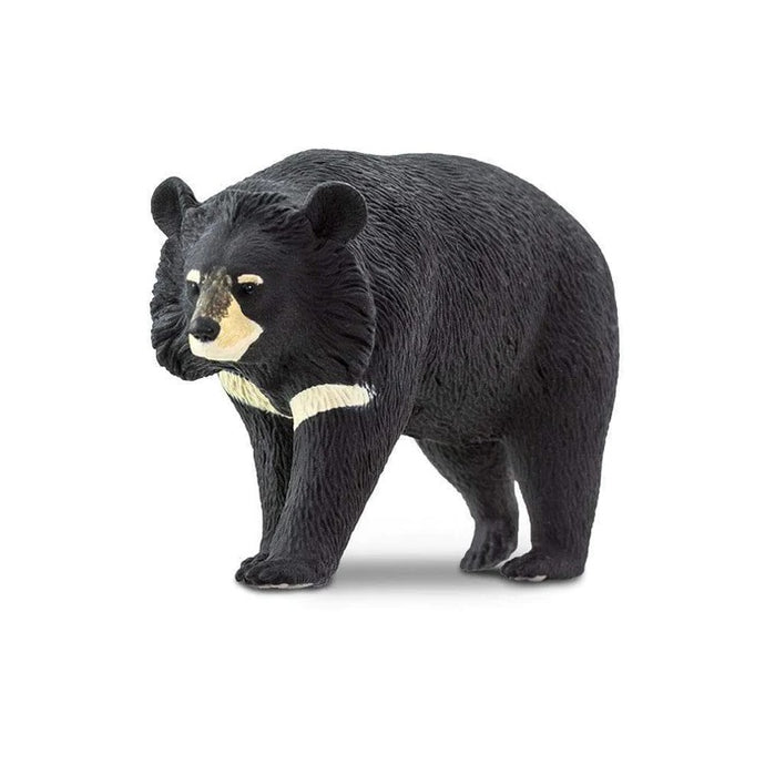 Moon Bear 100044