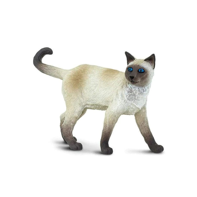 Siamese Cat 100061