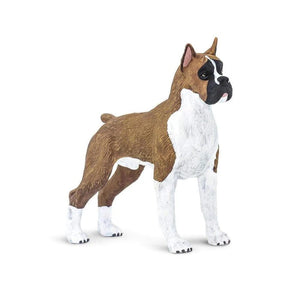 Boxer Dog 100062