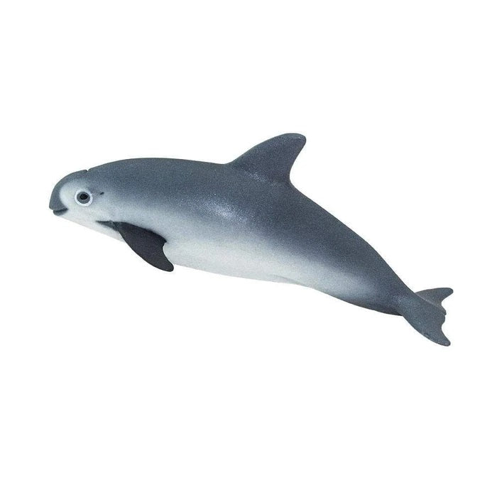 Vaquita Porpoise 100101