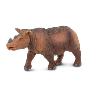 Sumatran Rhino 100103