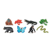 Rainforest Minis Fun Pack 100115