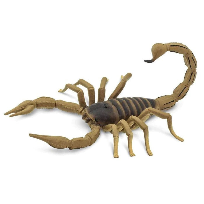 Scorpion 100260