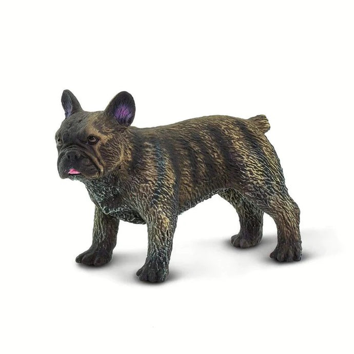 French Bulldog 100304