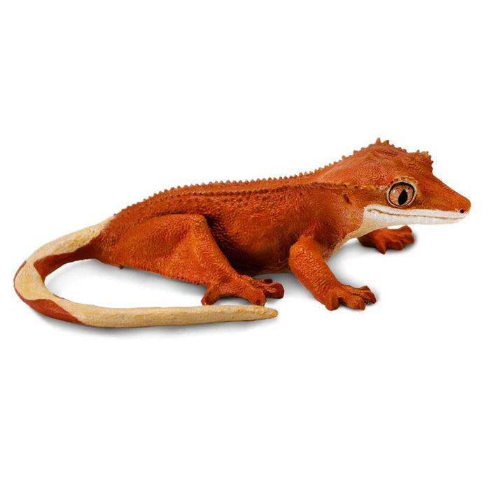 Crested Gecko 100344