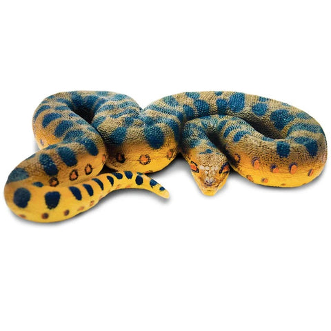 Green Anaconda Snake 100688