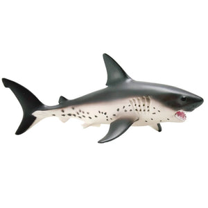 Salmon Shark 100690