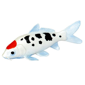 Koi Fish 101025