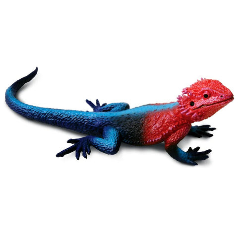 Mwanza Flat-Headed Rock Agama 101081