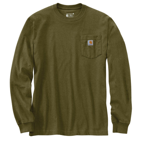 Carhartt men's loose fit outdoor graphic long-sleeve tee 107176 showing front