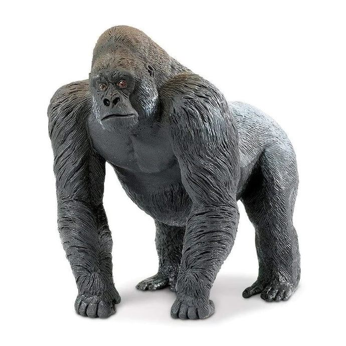 Silverback Gorilla 111589