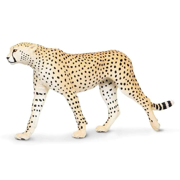 Cheetah 112889