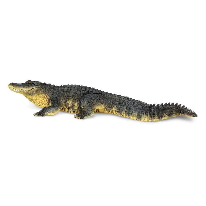 Alligator 113389