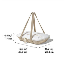 Dimensions of Carrier