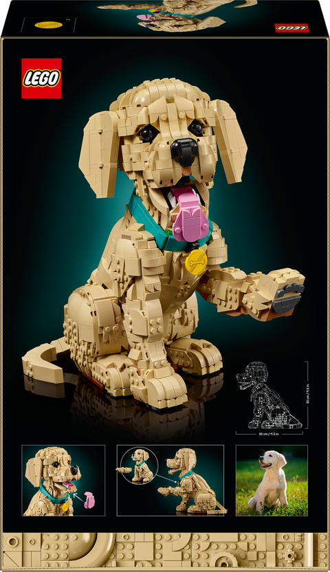 LEGO Golden Retriever Puppy 11384