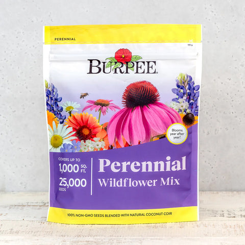 order wildflower seeds online Burpee Perennial Wildflower Mix 13220 – Good's Store Online