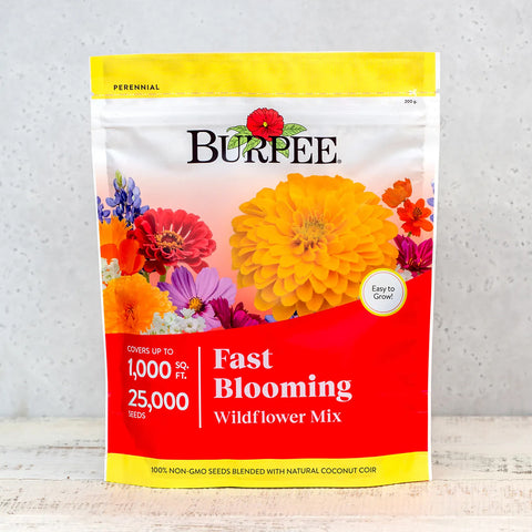 Fast Blooming Wildflower Mix 13701
