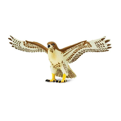 Red-Tailed Hawk 151029