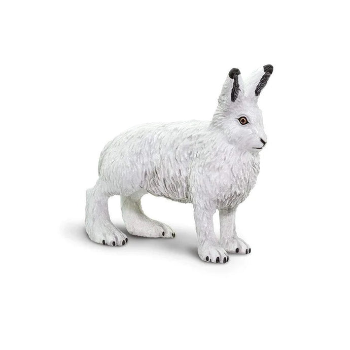 Arctic Hare 182129