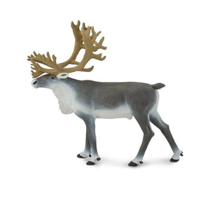 Caribou 182229