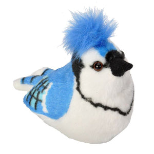 Blue Jay Stuffed Bird