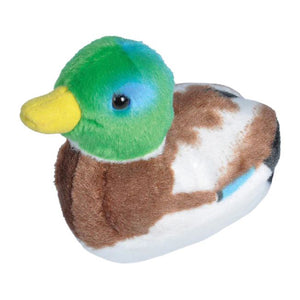 Mallard Duck Stuffed Bird