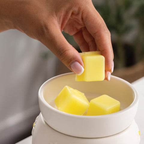 Daisy Wax Warmer WWDSY