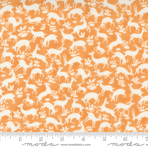 Pumpkins and Blossoms Collection Cotton Fabric 20422