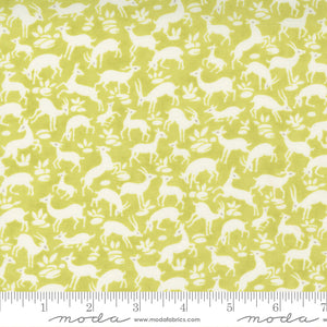 Pumpkins and Blossoms Collection Cotton Fabric 20422