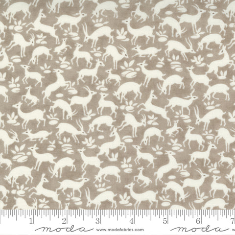 Pumpkins and Blossoms Collection Cotton Fabric 20422