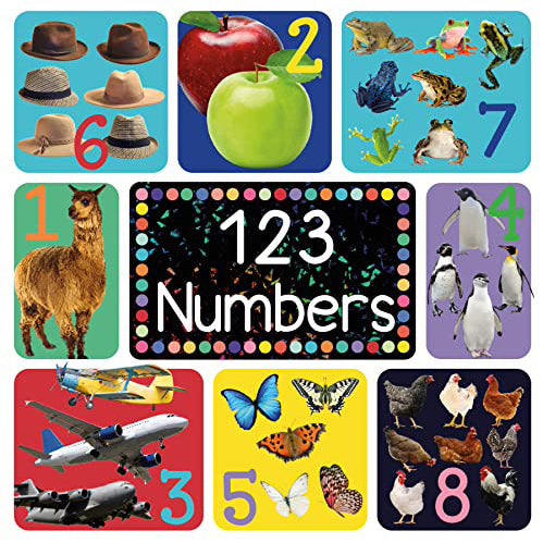 Cover of 123 Numbers Early Learning Book 2056
