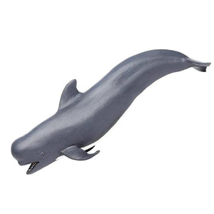 Pilot Whale 205629