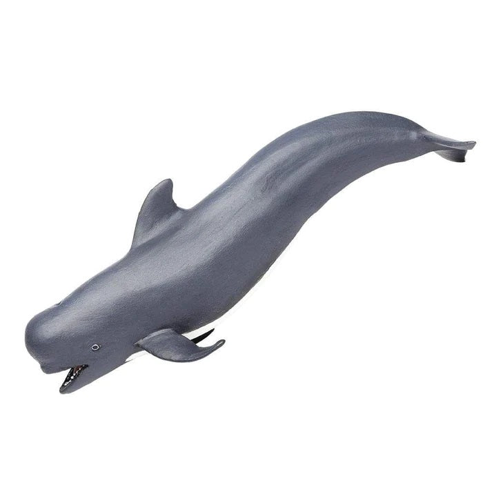 Pilot Whale 205629