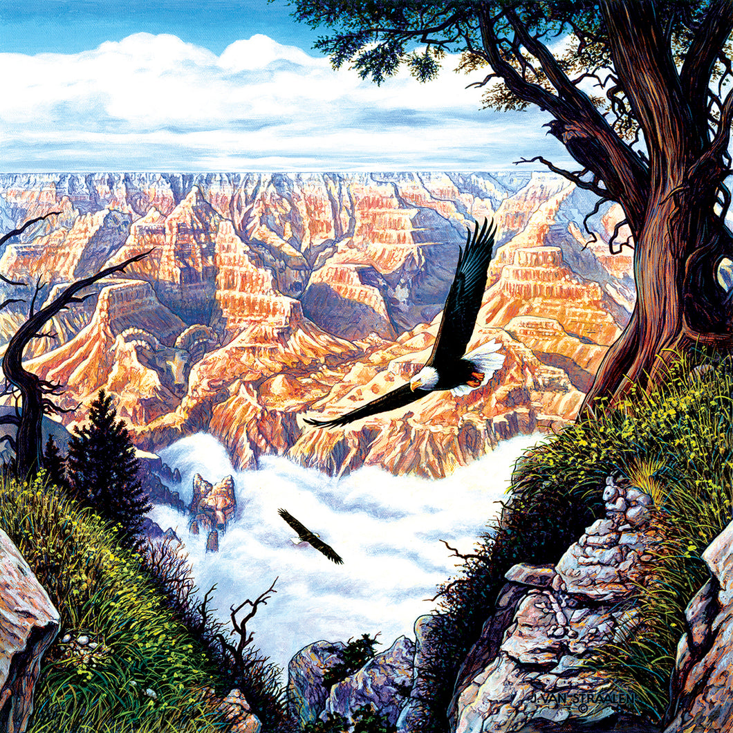 Guardians of the Canyon 500 PC Puzzle 20562