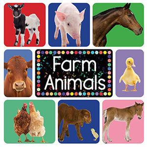 Cover of Farm Animals Early Learning Book 2058