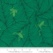 Jungle Paradise Collection Cotton Fabrics 20786