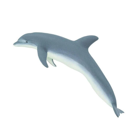 Bottlenose Dolphin 210802