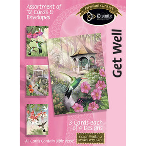 Get Well Hummingbirds Boxed Cards 21242N