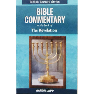 Bible Commentary - Revelation 213