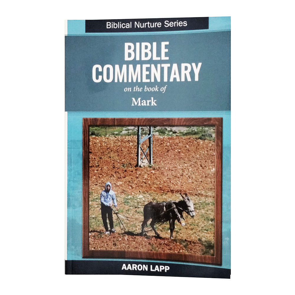 Bible Commentary - Mark 216
