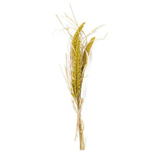 16-inch yellow millet and husk