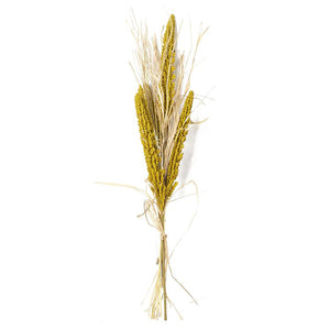 24-inch yellow millet and husk