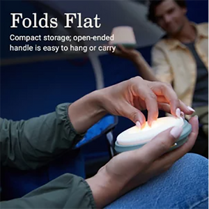 Folds Flat