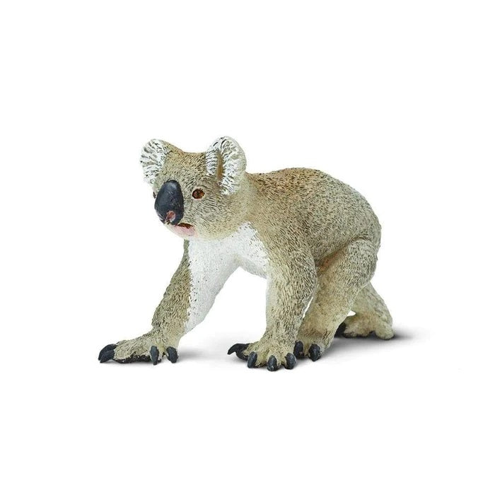 Koala 225329