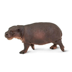 Pygmy Hippo 229229