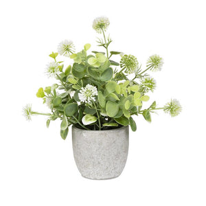 White Round Flower with Stone-Like Pot 231-70343