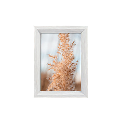 Bradley White Birch Frame 2386
