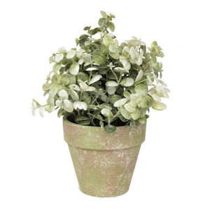 White Leaf Greenery in Distressed Pot 241-70369