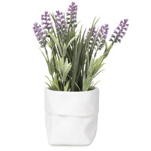 Tall Purple Flowers in White Pot 241-70380