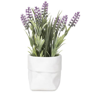 Tall Purple Flowers in White Pot 241-70380